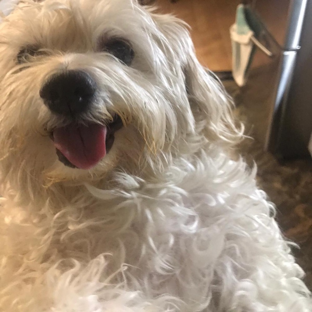 Meet your Posher, Kevin